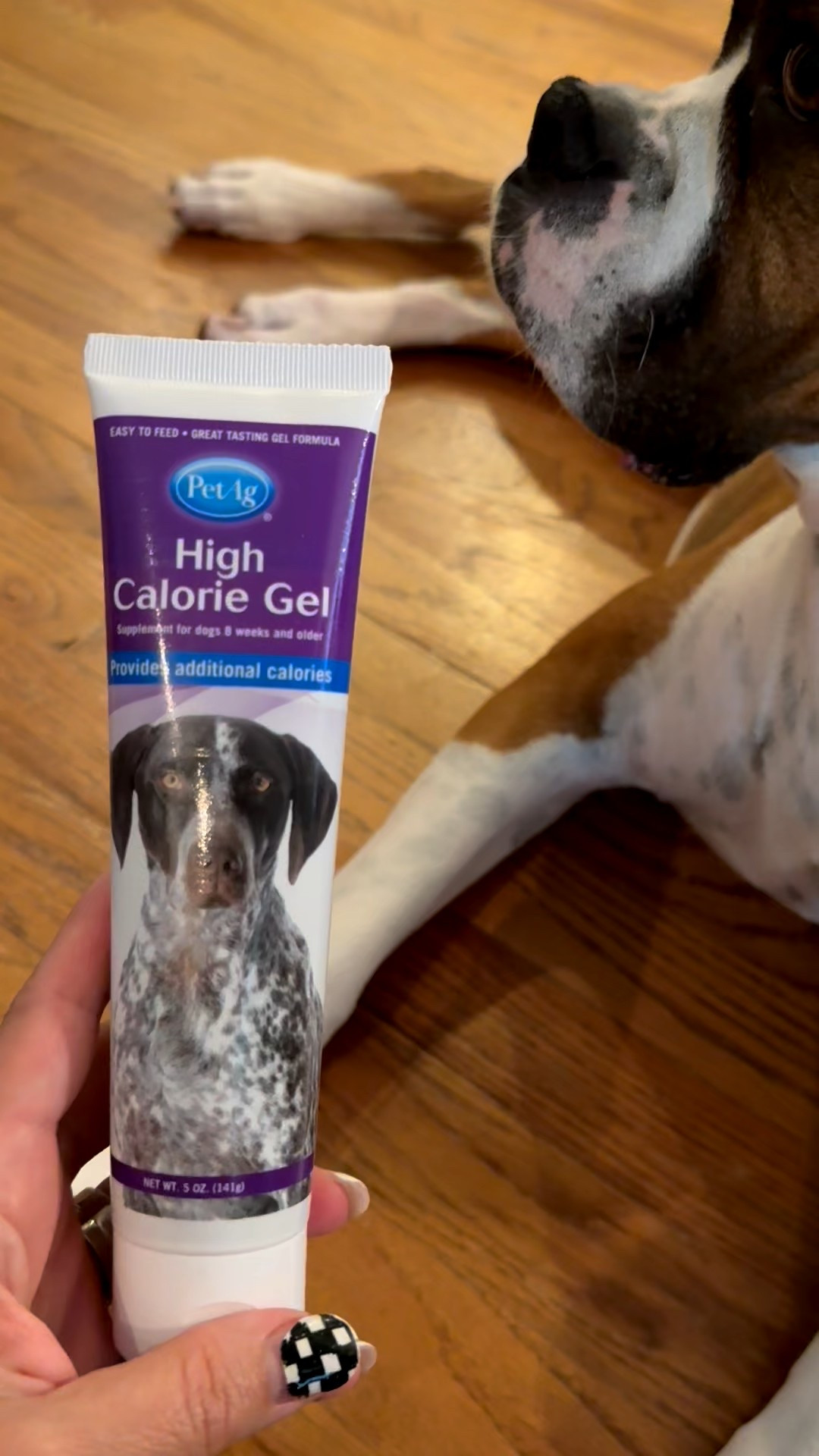 If you need an extra supplement for extra calories for your dog, try Pet Ag High Calorie Gel. Bruno loves it🐶

They also make High Calorie Gel for cats. It’s not intended for puppies under 8 weeks old. 

#LTKPets #LTKFindsUnder50 #LTKActive