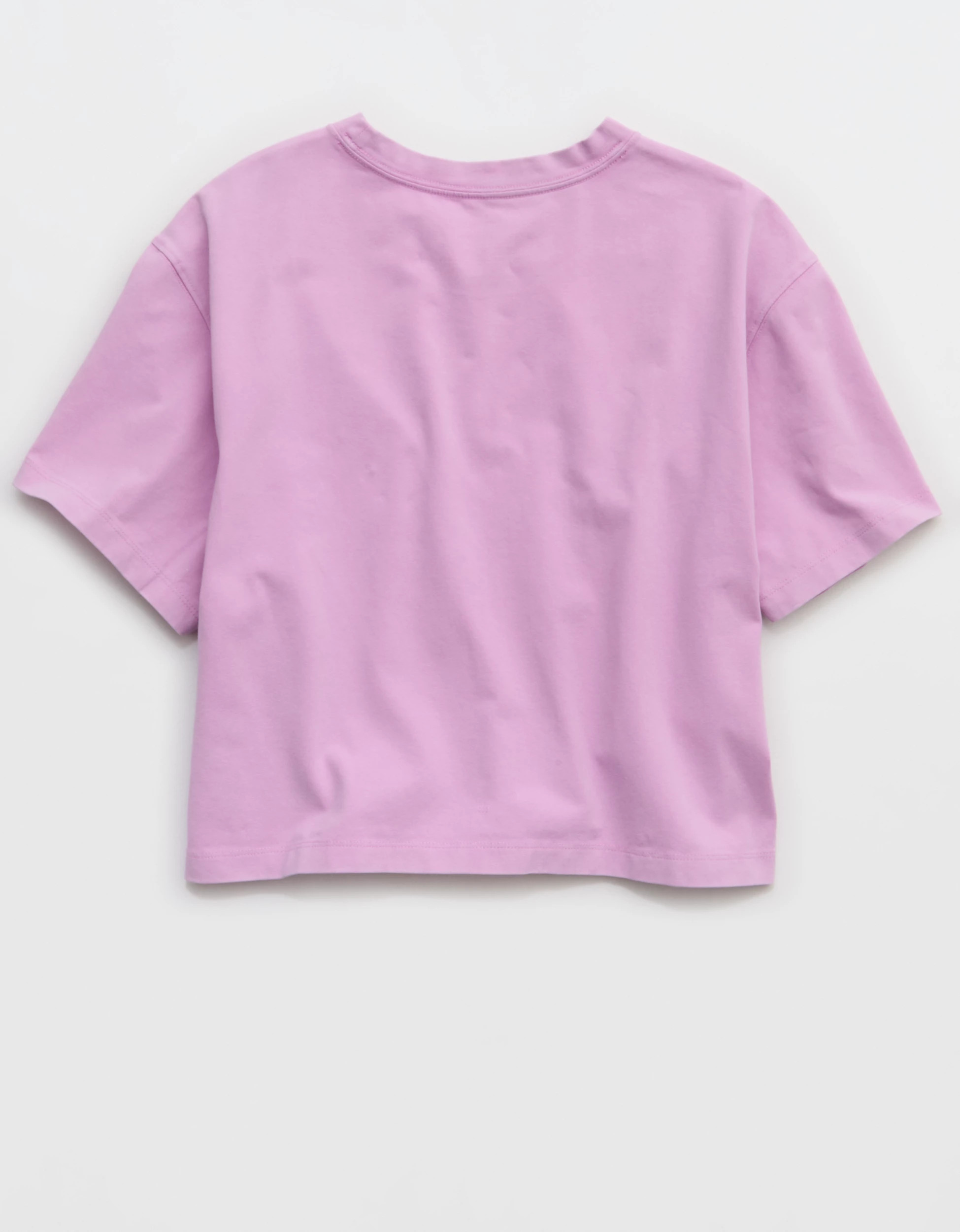 OFFLINE By Aerie OG Cotton Short Sleeve T-Shirt | American Eagle Outfitters (US & CA)