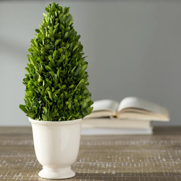 15.75'' Boxwood Topiary in Ceramic Pot | Wayfair North America