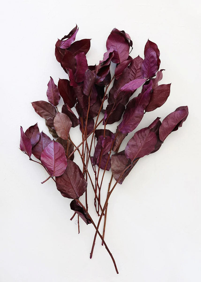 Purple Preserved Salal Leaves - 12-20" | Afloral