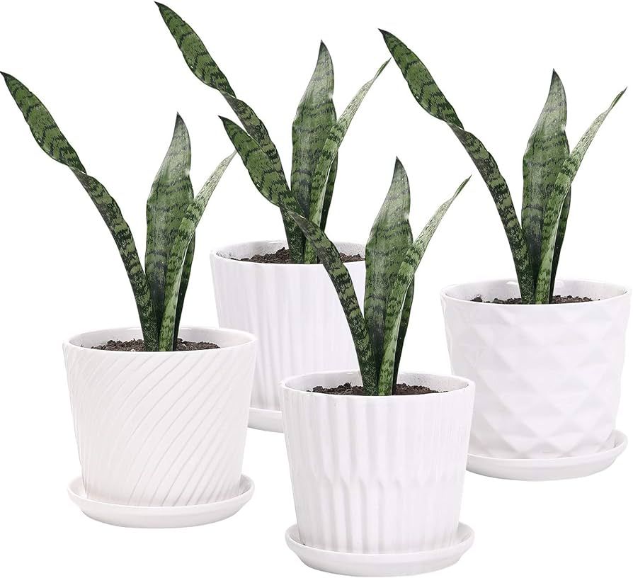 Plant Pots - 5.5 Inch Cylinder Ceramic Planters with Connected Saucer, Pots for Succuelnt and Lit... | Amazon (US)