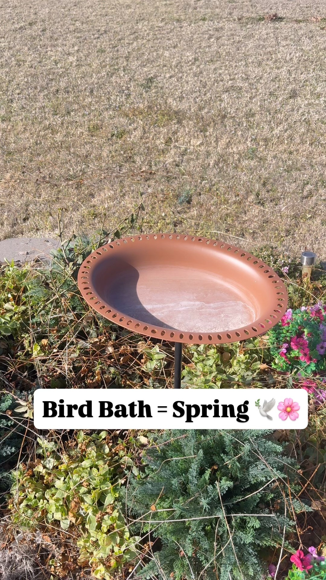 ☀️🕊️Time to get outside and start decorating for spring 🌸. Clean up the yard, the patio, the garden etc!!! 

‼️Danas_Randomfinds‼️ 
Follow☑️Like👍🏻Share🫶🏻
🛍️Where you will get daily random fashion finds based on comfort, quality and style!!!!   Thank you 😊 
#amazonfinds 
#danasrandomfinds #amazonessentials 
#amazonfashion 
#emptynester 
#over50
Below ⬇️ is how you get your links!!

#LTKdayinmylife #LTKHome #LTKSeasonal