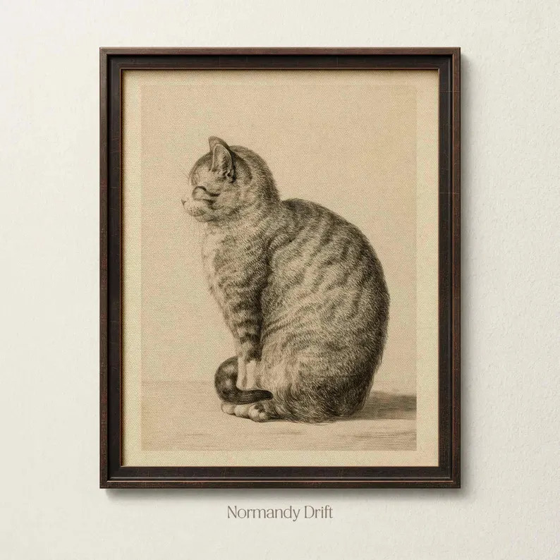 Vintage Cat Sketch Print, Rustic Tabby Cat Drawing, Framed Wall Art | Etsy (Global)