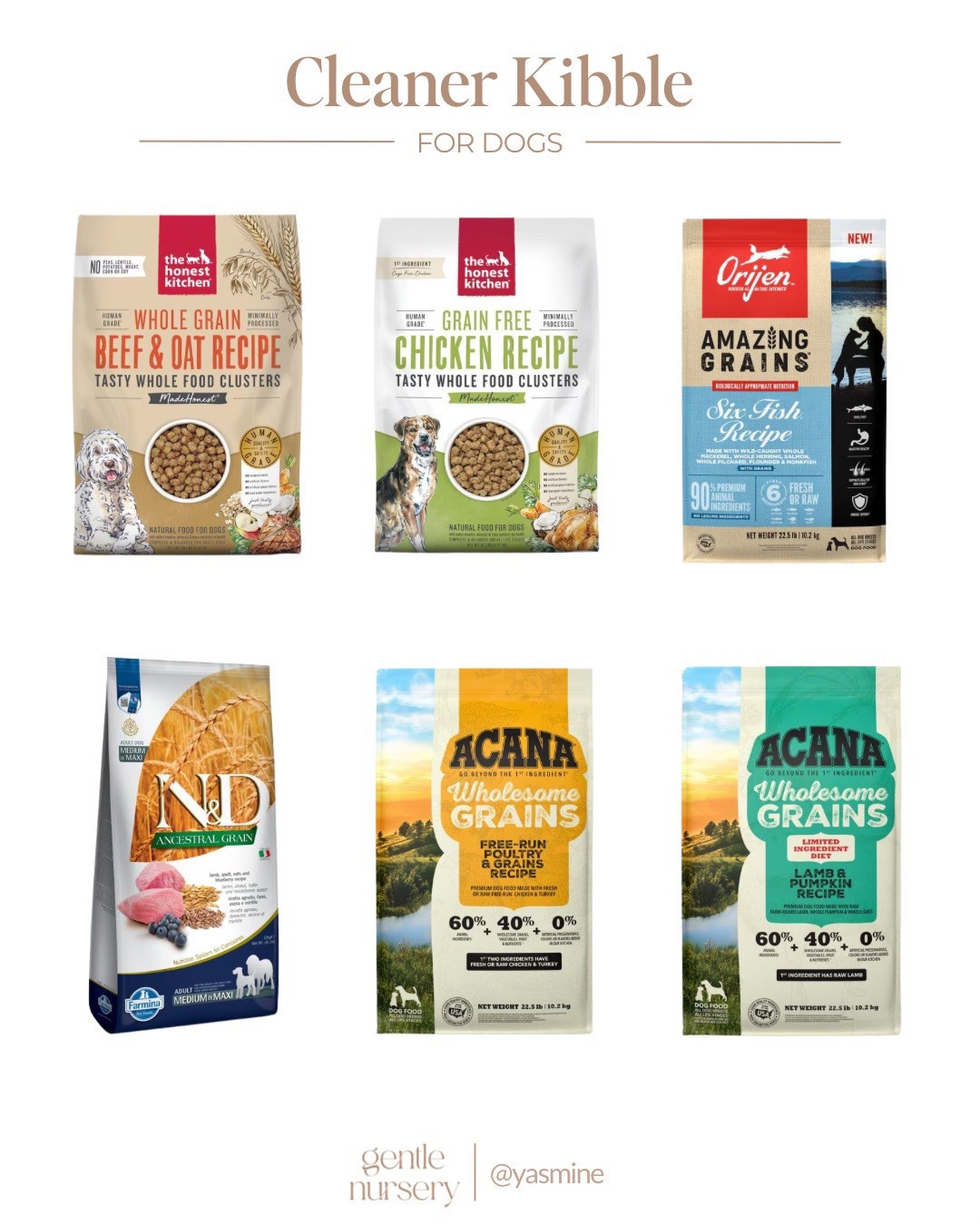 Cleaner dog food for your best friend 🐶

#LTKPets