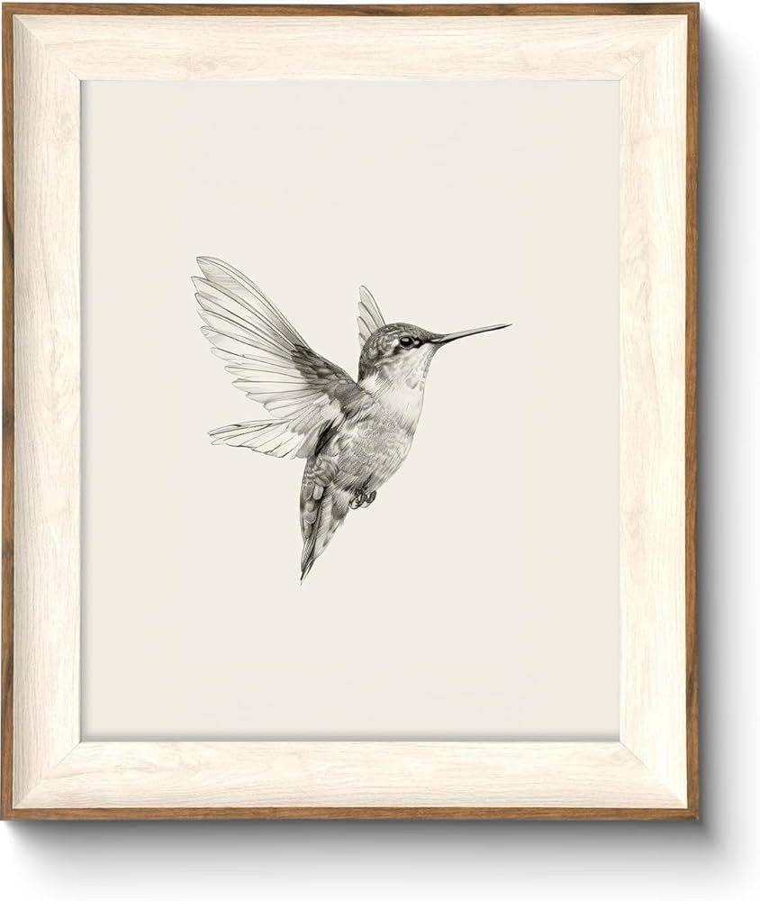 ASTRDECOR Hummingbird Wall Art Prints – Vintage Black and White Bird Sketch Painting Picture, R... | Amazon (CA)