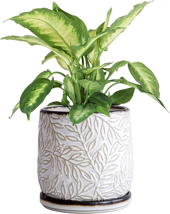 6 Inch Embossed Leaves Stoneware Planter Pot with Drainage Hole and Saucer, Smoked White, 27-M-K1... | Amazon (US)
