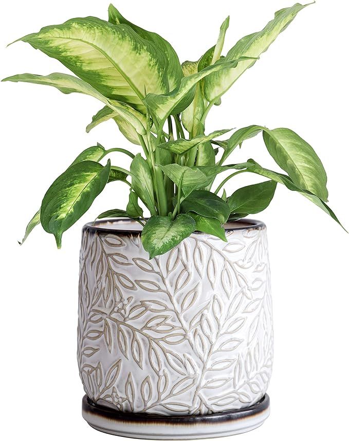 6 Inch Embossed Leaves Stoneware Planter Pot with Drainage Hole and Saucer, Smoked White, 27-M-K1... | Amazon (US)