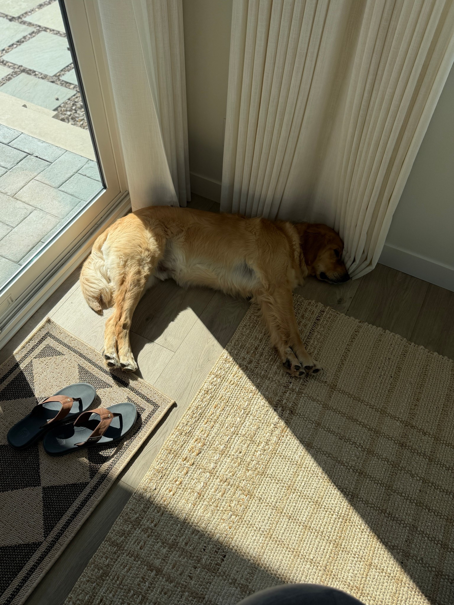 The best jute rug! Doesn’t shed, easy to clean  

#LTKHome