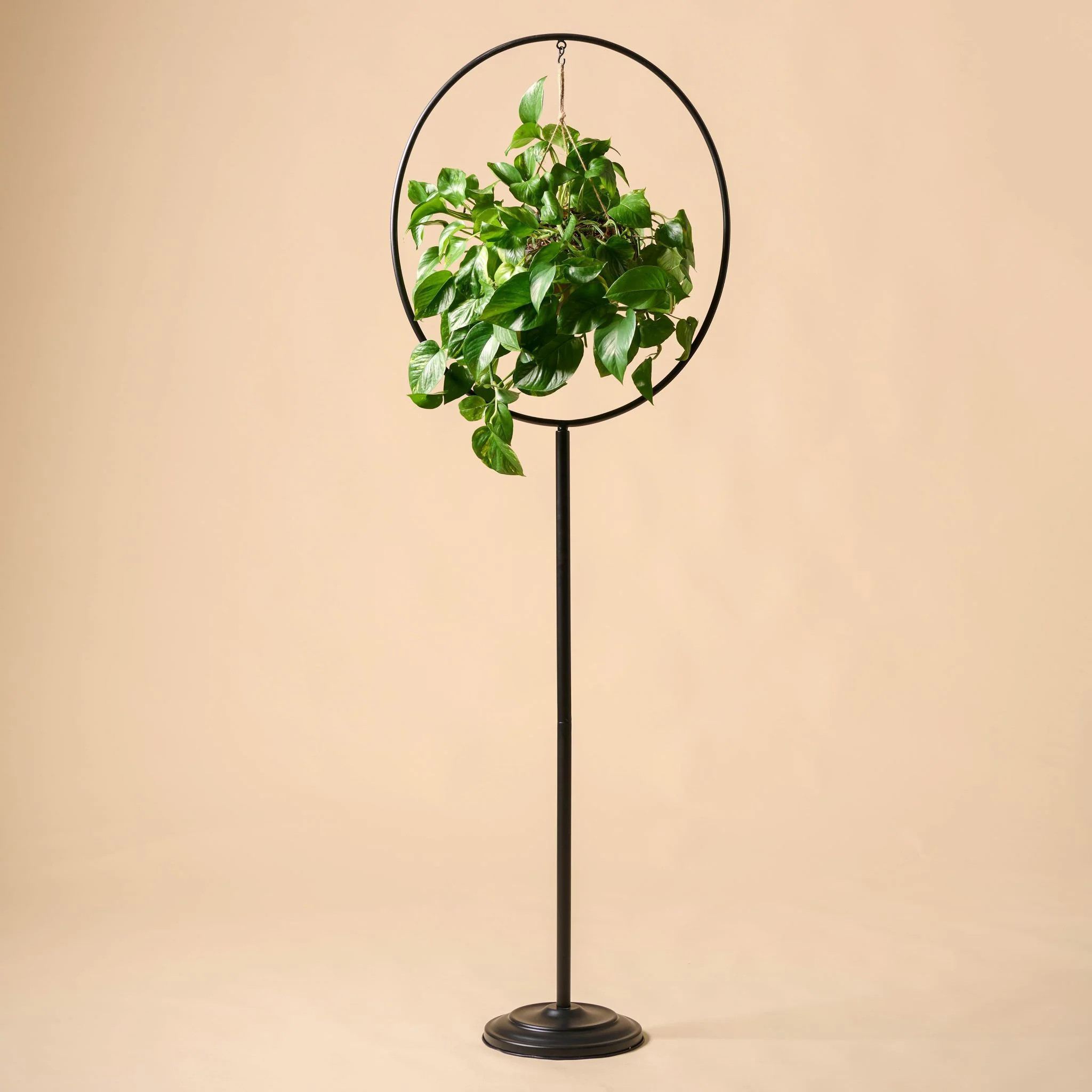 Hayden Plant Stand | Magnolia