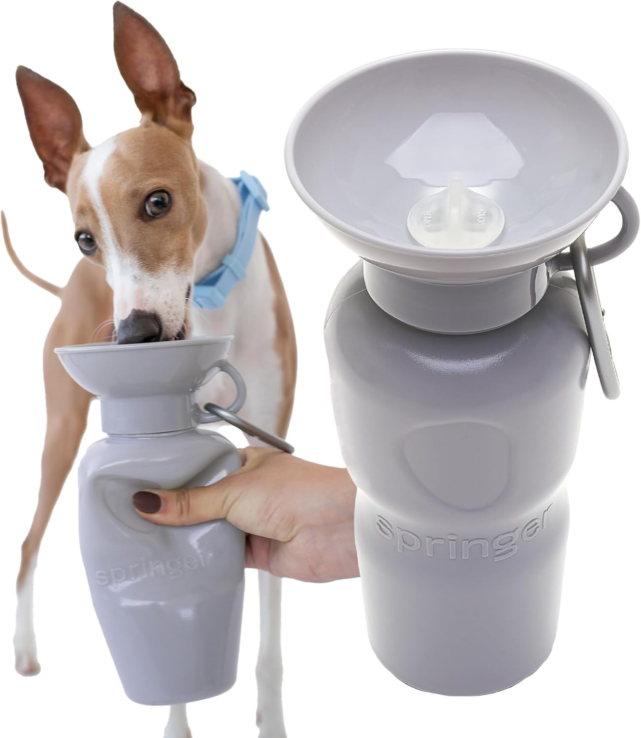 Springer Classic Travel Dog Water Bottle – 625ml Portable Water Bottle for Dogs with Patented L... | Amazon (UK)