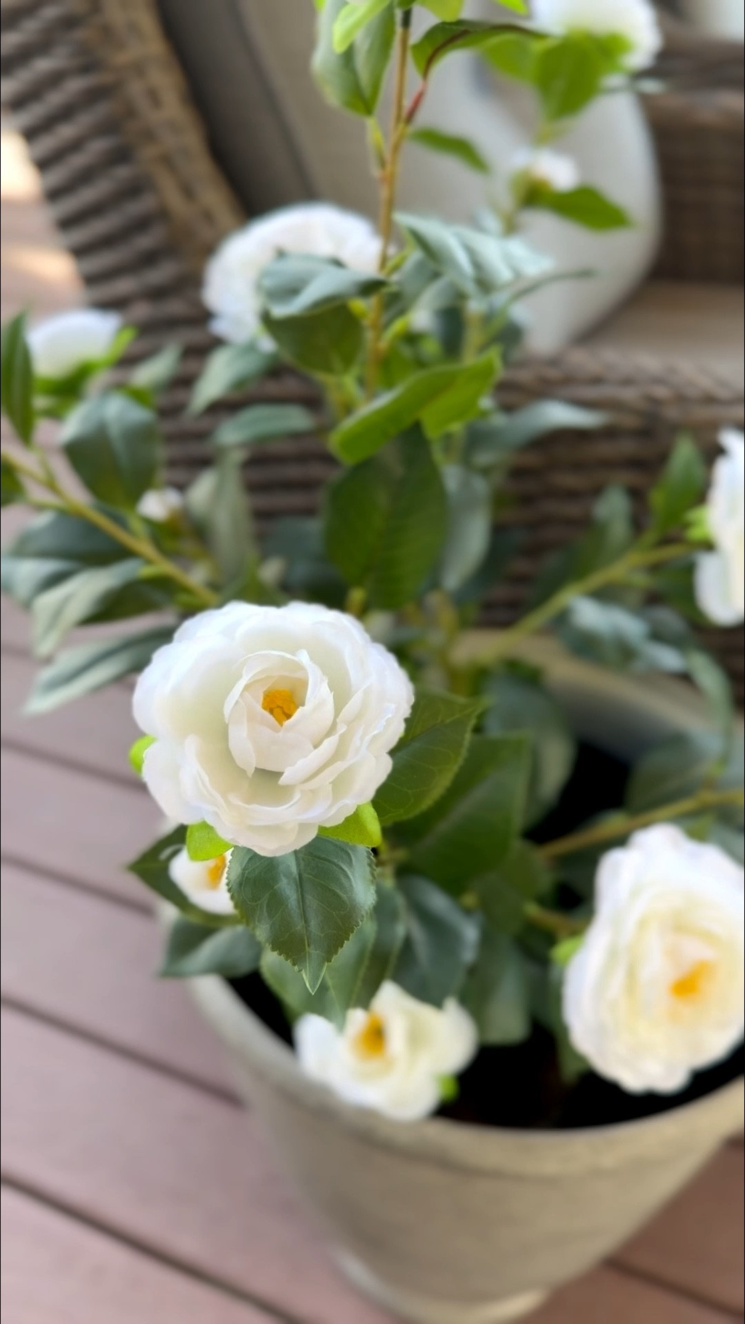 I got these outdoor florals last year. They go in my house and out and I just love how realistic they look. They’re so pretty and I don’t have to water them. ￼

#LTKdayinmylife #LTKHome #LTKSeasonal