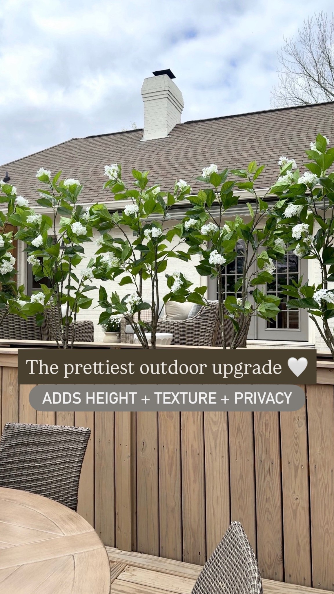 I added these 5ft faux hydrangea trees along my deck and they made such a difference 🤍
They don’t give full privacy, but they add a little coverage while making the space feel so much more finished and elevated.

I love the height, the greenery, and how they soften the view without closing everything off 🌿
Linking them here!
Amazon find | outdoor decor | patio decor | faux trees 
