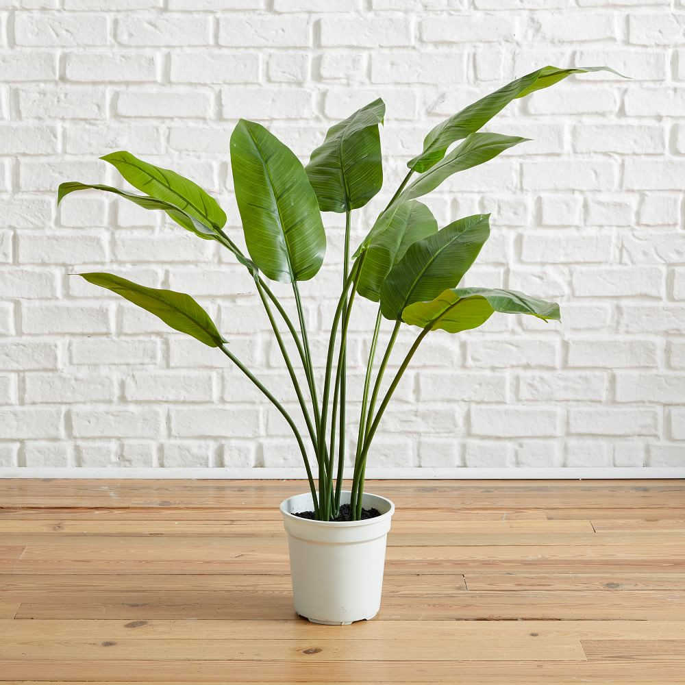 Faux Potted Bird of Paradise Plant | West Elm (US)