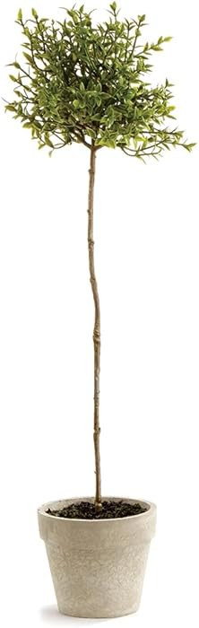 Napa Home & Garden Thyme Topiary 16" Artificial Plant | Amazon (US)
