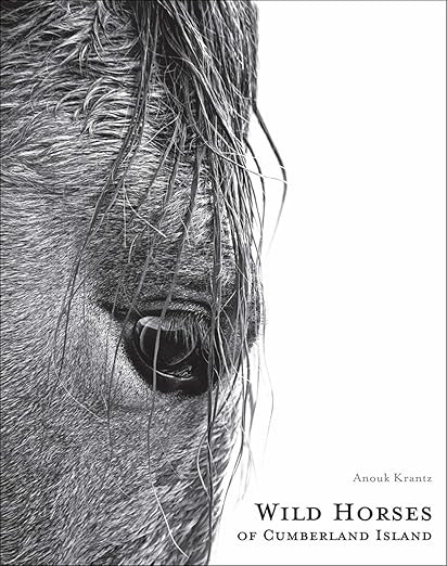 Wild Horses of Cumberland Island (Anouk Masson Krantz) | Amazon (US)