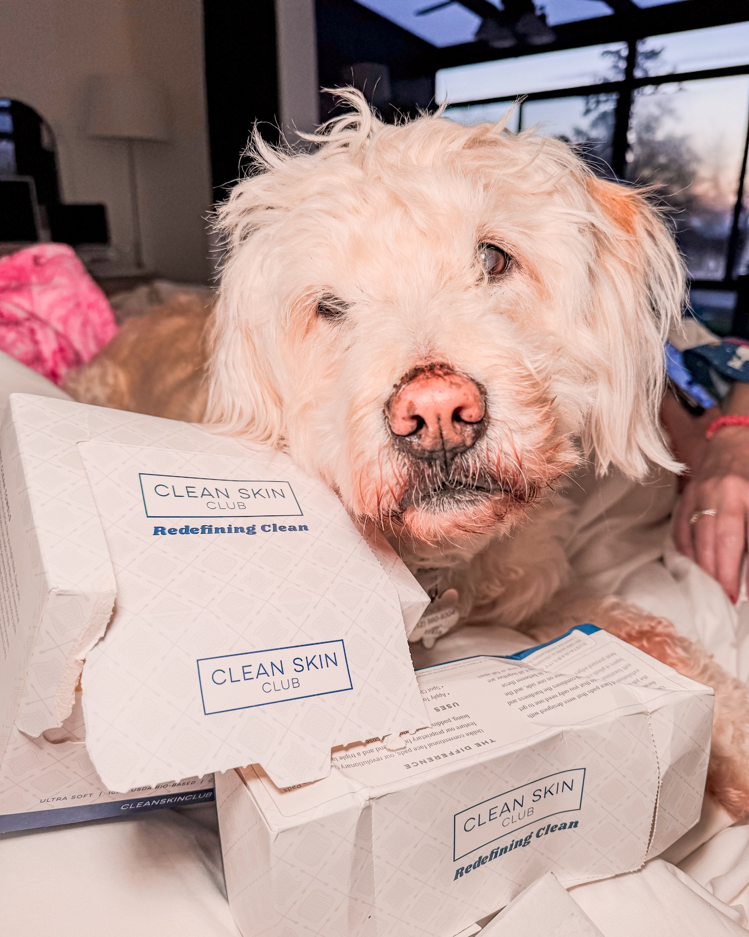 Packaging subpar, but product 🤌🏻!

I LOVE these towels for washing my face in the am and washing off all the makeup at night.

Instead of reaching for the dirty towels everyone has used to dry their hands after going to the bathroom- these are what I reach for now! So much better for your skin & I got even more excited when I found the Clean2 face pads for micellar water & toners! 🙌🏼

Gifts for her; mens gift guide; stocking stuffers; makeup remover; clean skin; IrisElizabeth 

#LTKtravel #LTKGiftGuide #LTKbeauty