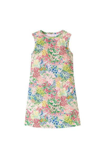 Louise Shift | Molly Moorkamp