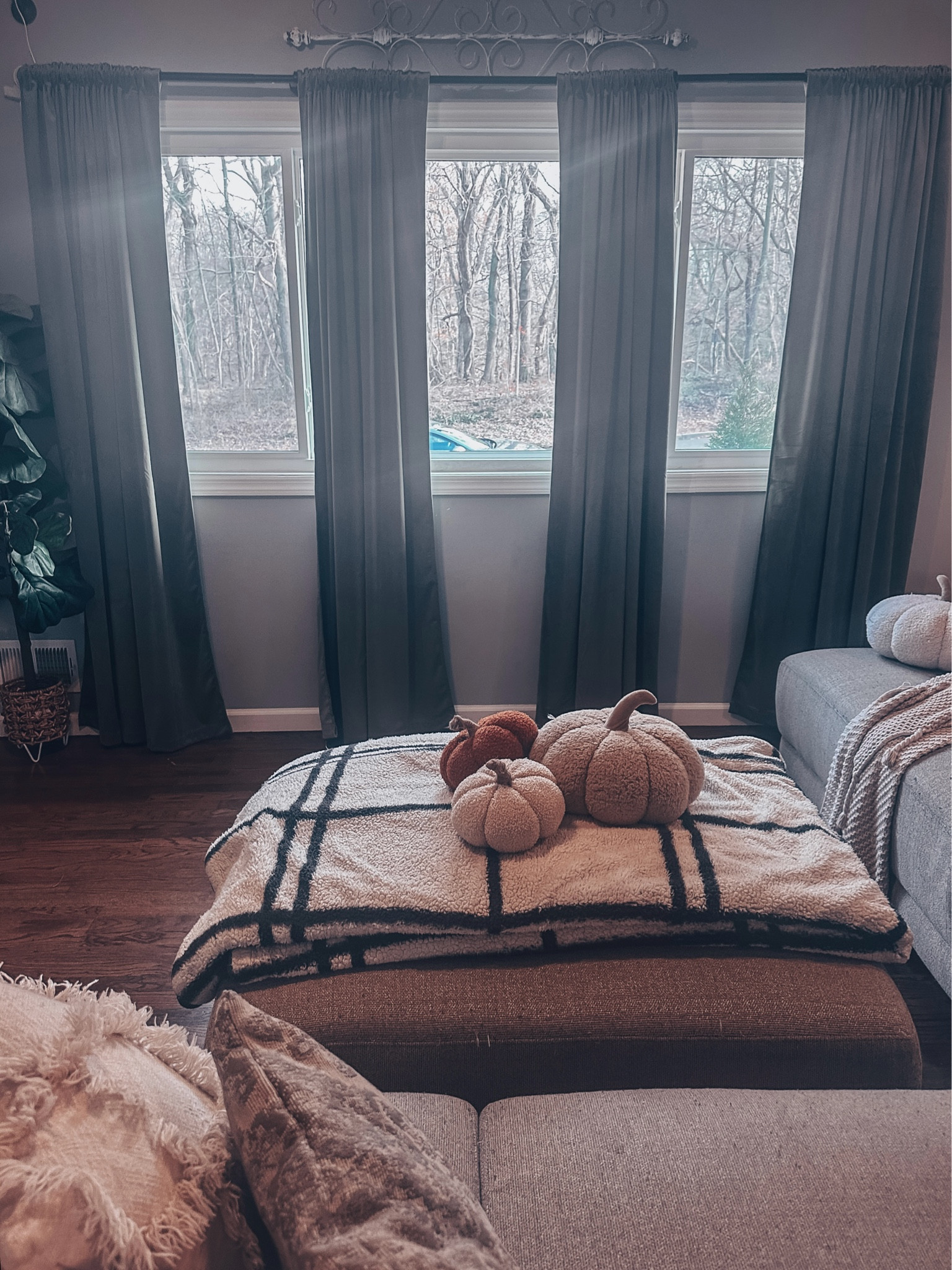 Curtains on #BlackFriday #Sale 

#LTKSaleAlert #LTKHome #LTKCyberWeek