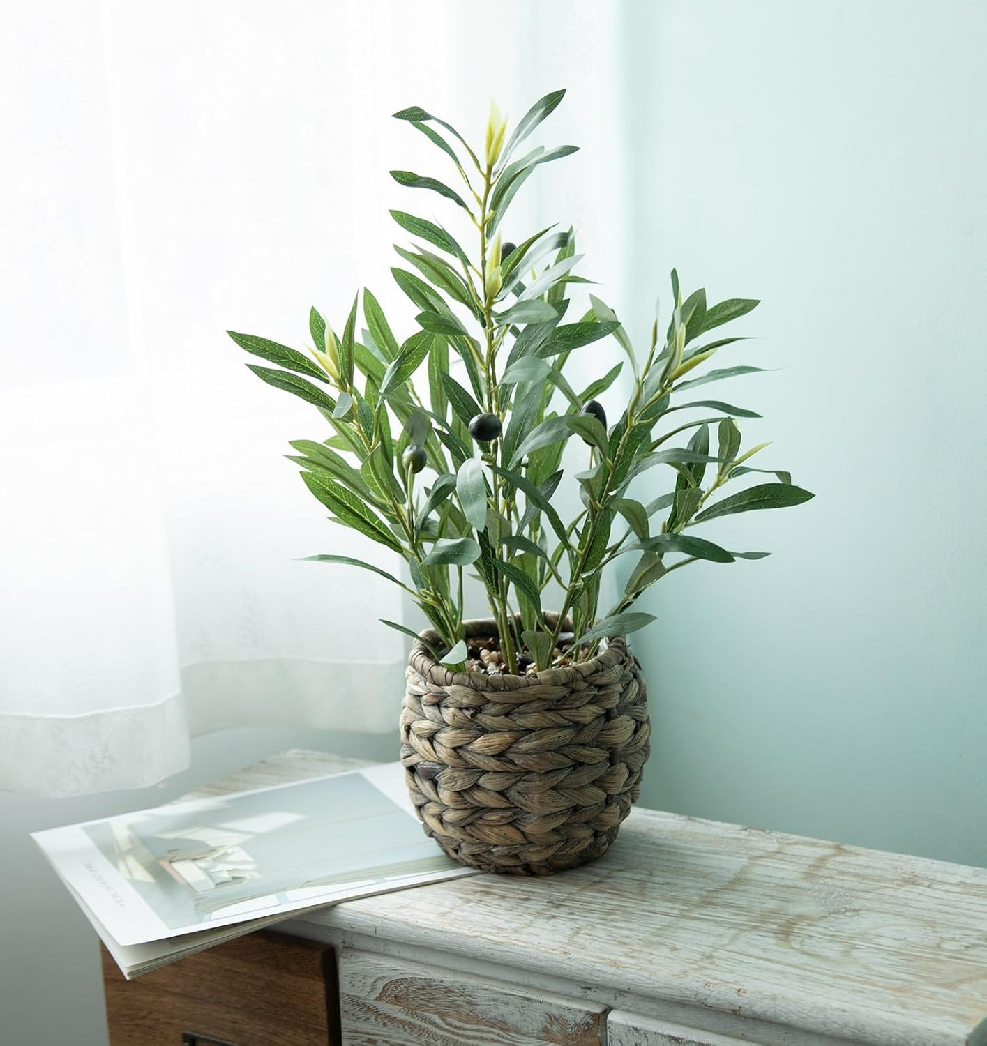 Ainuowei Indoor Fake Olive Plants 17.7 inches Tall Lifelike Artificial Olive Plants with Cyan Fru... | Amazon (US)