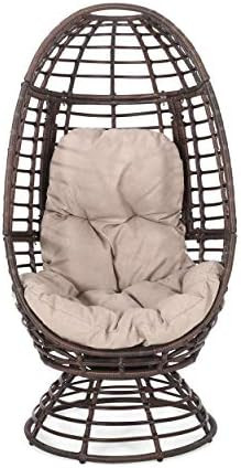 Christopher Knight Home 311448 Frances Outdoor Wicker Swivel Egg Chair with Cushion, Dark Brown, ... | Amazon (US)