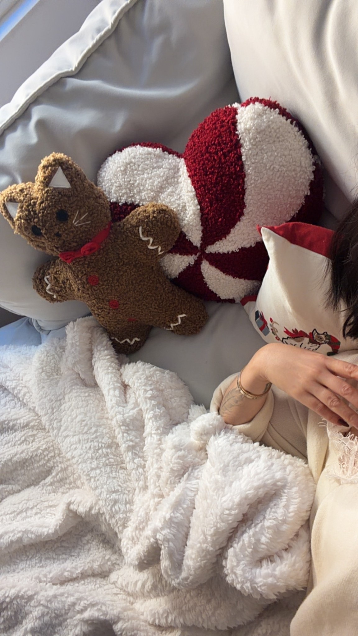 Pottery barn cushions 

#LTKOver40 #LTKHome #LTKHoliday