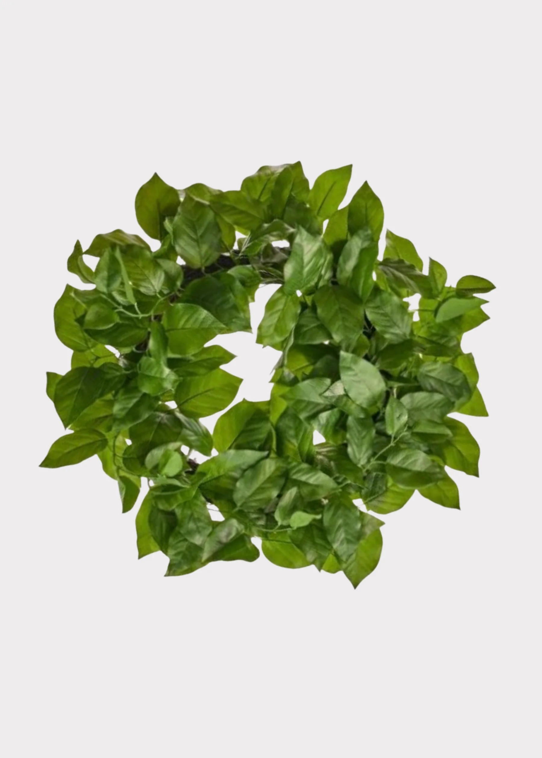 UV Treated Indoor/Outdoor Real Touch Salal Leaf Wreath - 24" | Afloral