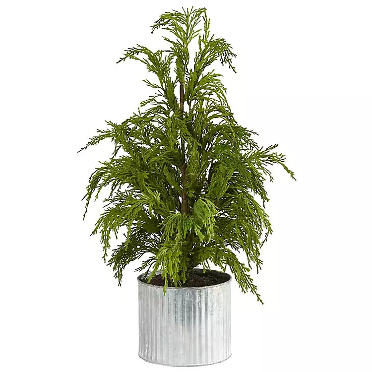 Cedar Pine Mini Tree in Corrugated Metal Planter | Kirkland's Home