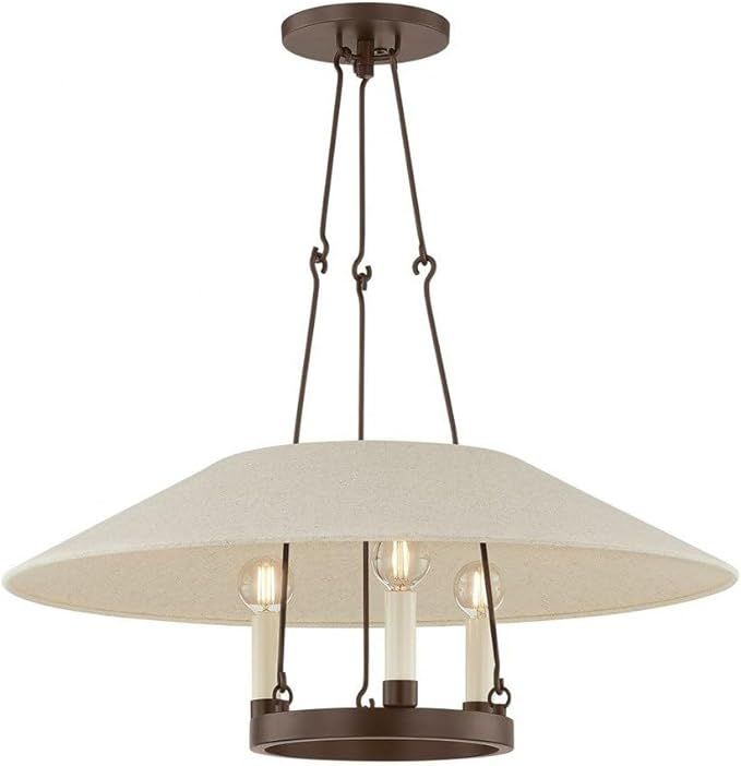 Troy Lighting F1625-BRZ Archive - 3 Light Chandelier-10 Inches Tall and 25 Inches Wide, Finish Co... | Amazon (US)