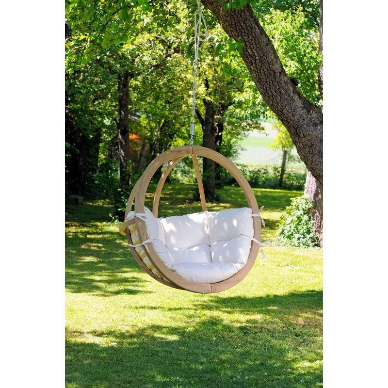 Giovani Swing Chair | Wayfair North America