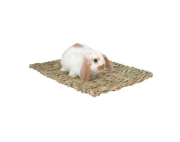 Peter's Woven Grass Small Animal Mat, Brown | Chewy.com