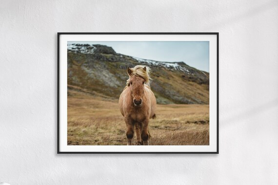 Icelandic Horse Photography Print Nordic Home Decor | Etsy | Etsy (US)