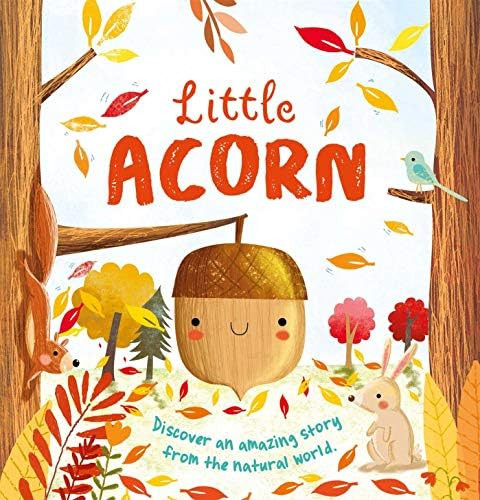 Nature Stories: Little Acorn: Padded Board Book | Amazon (US)