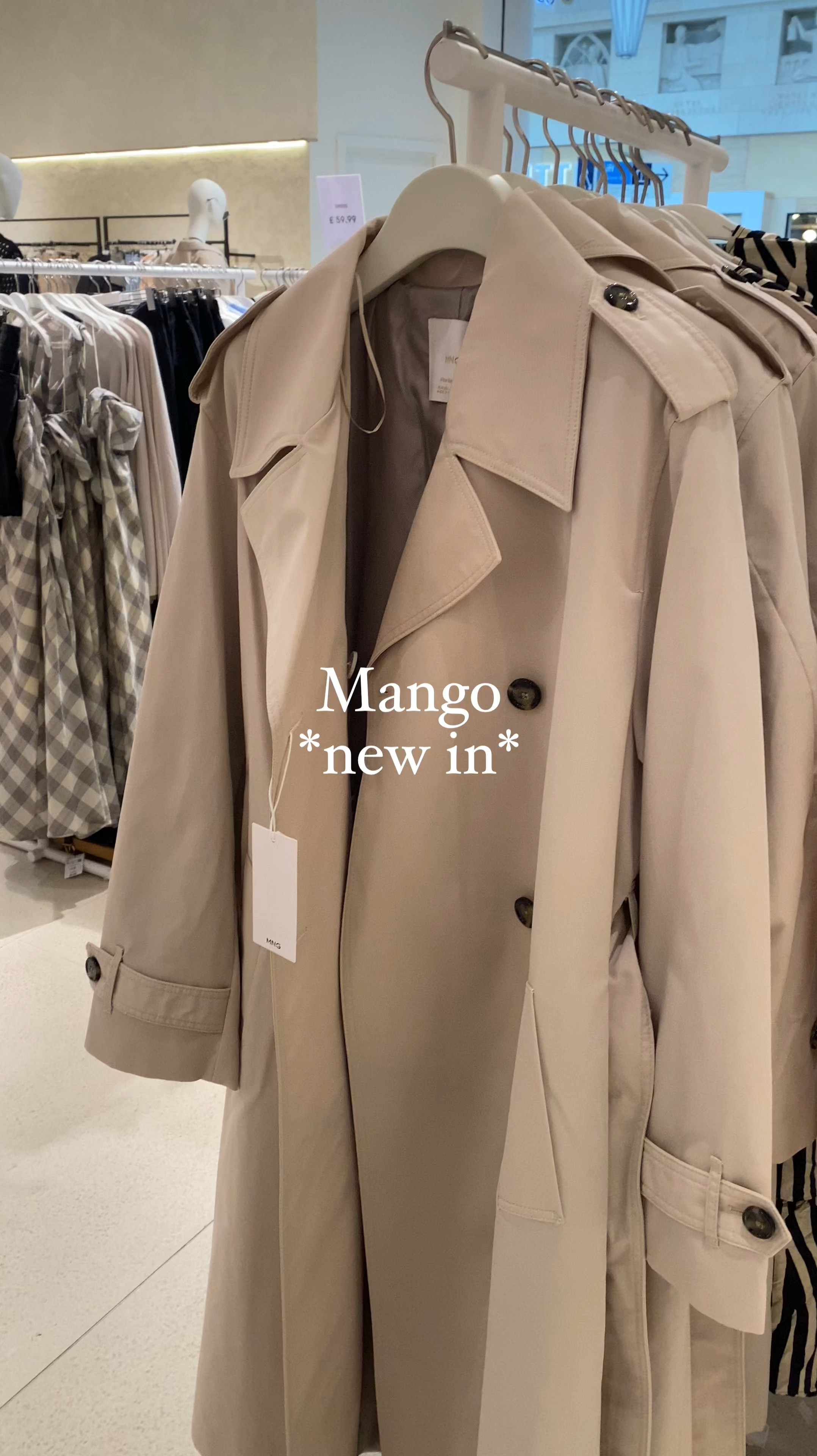 Mango New In 🤍


Mango , mango new in , Boucle jacket , boucle, jacket , tweed jacket , trench , trench coat , women’s trench coat , spring fashion, summer fashion, women’s fashion , workwear , work outfits , earrings , statement earrings , large earrings, Zara , H&M , hm 

#LTKGiftGuide #LTKstyletip #LTKworkwear