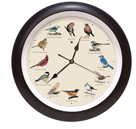 My bird clock from Amazon 

Amazon home finds.  Follow @sarahjoyblog for more Amazon! 

#LTKhome #LTKunder50