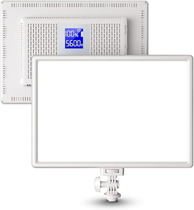 RALENO Led Video Light, Built-in 4000mAh*2 Battery 3200-5600K CRI95+ 0-100% Brightness Adjustment... | Amazon (US)