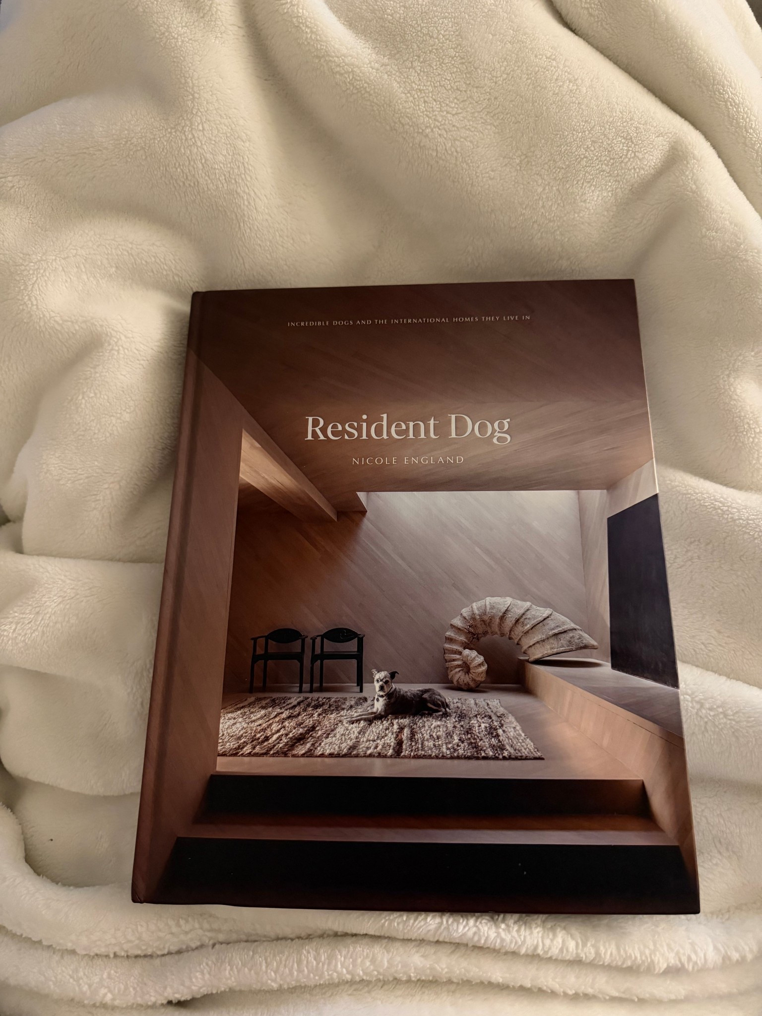 Coffee Table Book: Showcasing beautiful architectural homes with the owners resident dogs 🐾

#LTKHome