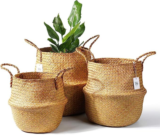 POTEY 730102 Seagrass Plant Basket Set of 3 - Hand Woven Belly Basket with Handles, Large Storage... | Amazon (US)