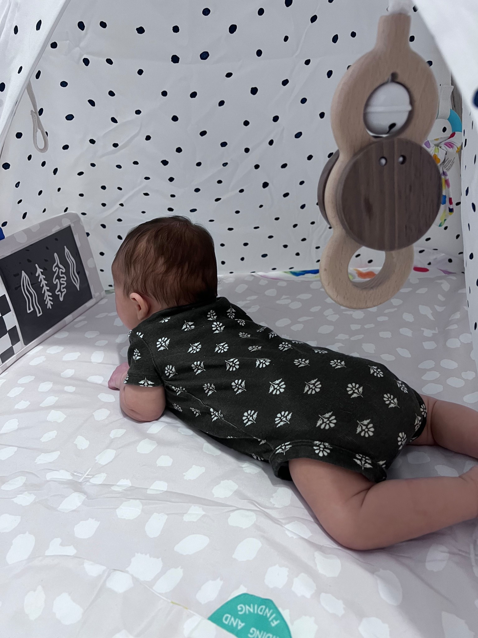 Baby essentials - Play mat, onesie

#LTKBaby #LTKmomlife #LTKKids