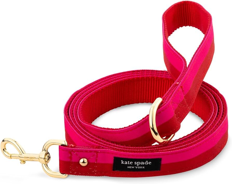 Kate Spade New York 4.5ft Dog Leash, Heavy Duty Leash for Female or Male Dogs, Cute Pet Leash wit... | Amazon (US)