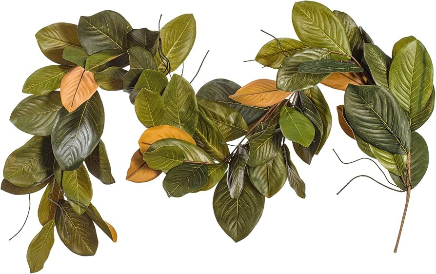 Vickerman 6' Artificial Green Magnolia Garland | Amazon (US)