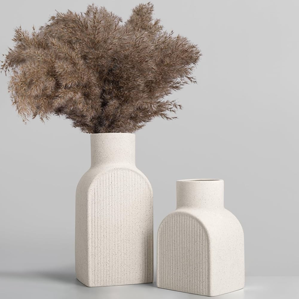 White Ceramic Vases for Modern Home Decor Set of 2 - Elegant Matte Design, Perfect for Pampas Gra... | Amazon (US)