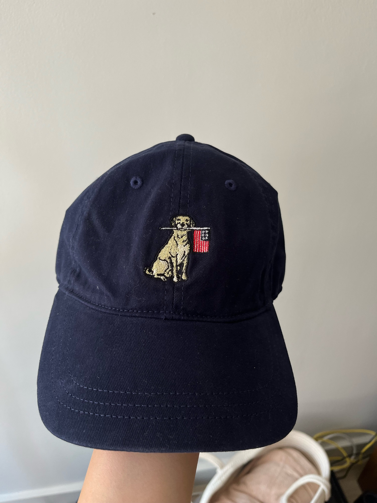 The perfect 4th of July hat for dog lovers!! 
JCrew 

#LTKSeasonal #LTKSaleAlert #LTKFindsUnder50