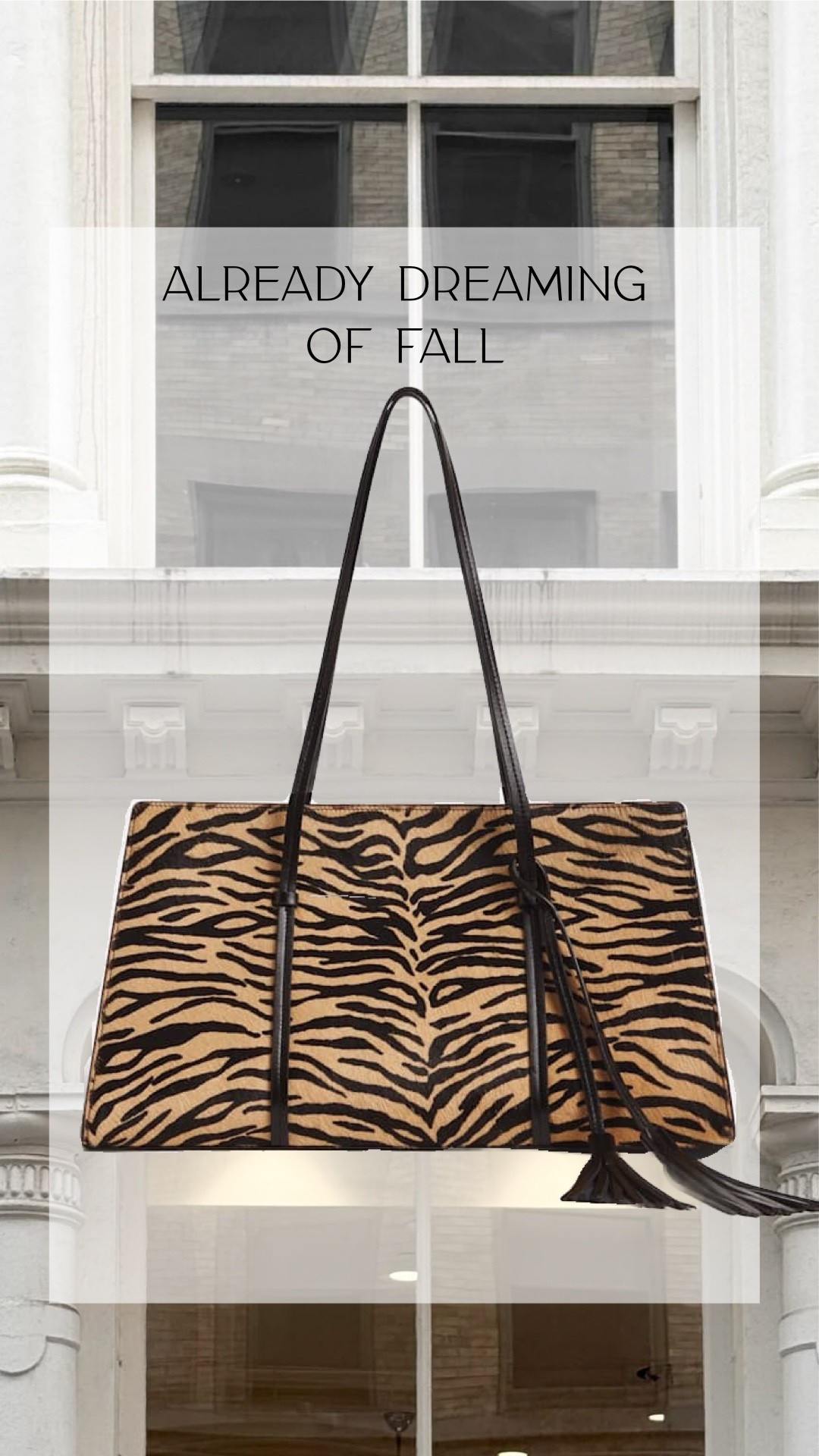 Fall new arrivals

#LTKgrwm #LTKootd #LTKSeasonal
