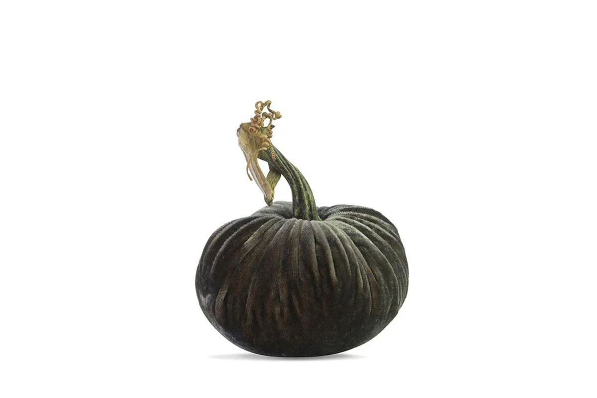 PP Smokey Topaz Pumpkin | Lucy's Market
