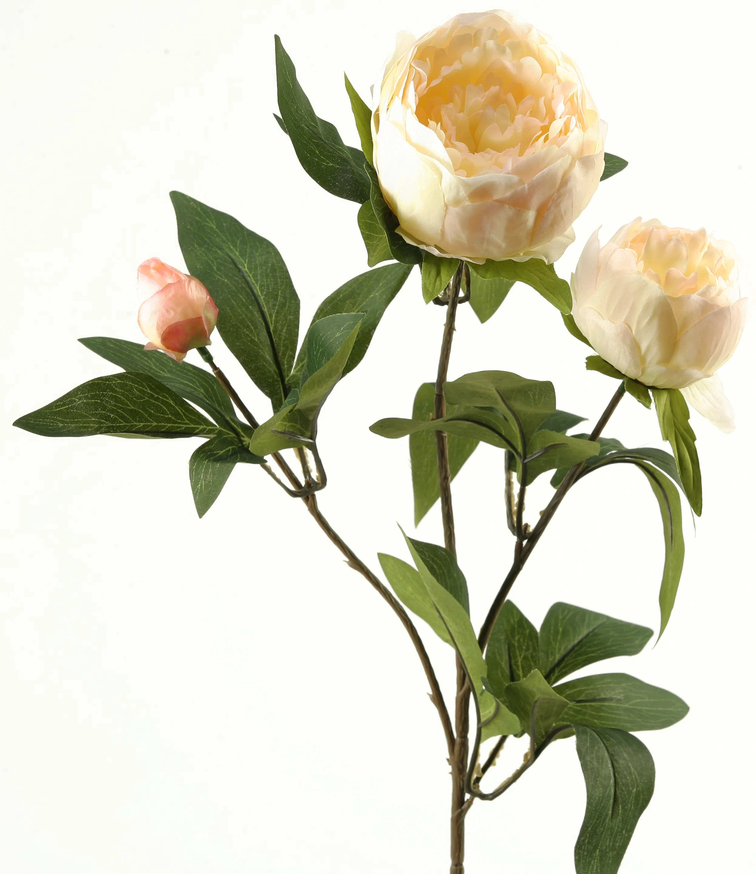 House of Hampton® Peony Stem | Wayfair | Wayfair North America