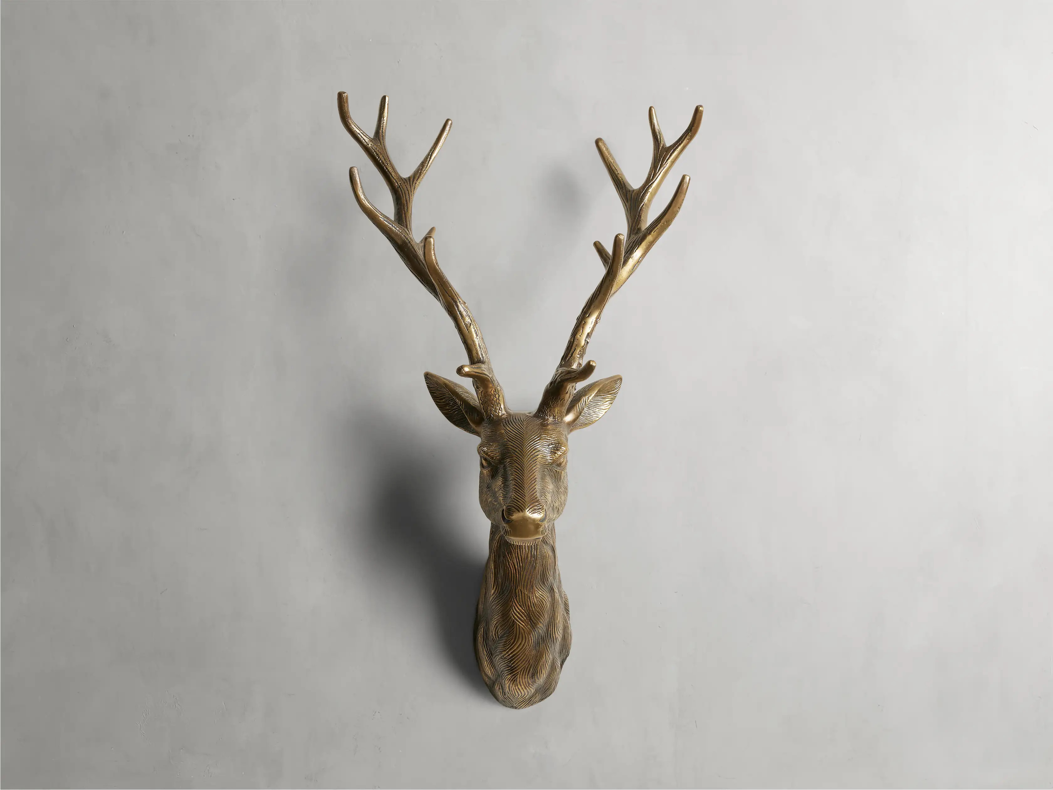 Wall Mounted Stag Head | Arhaus