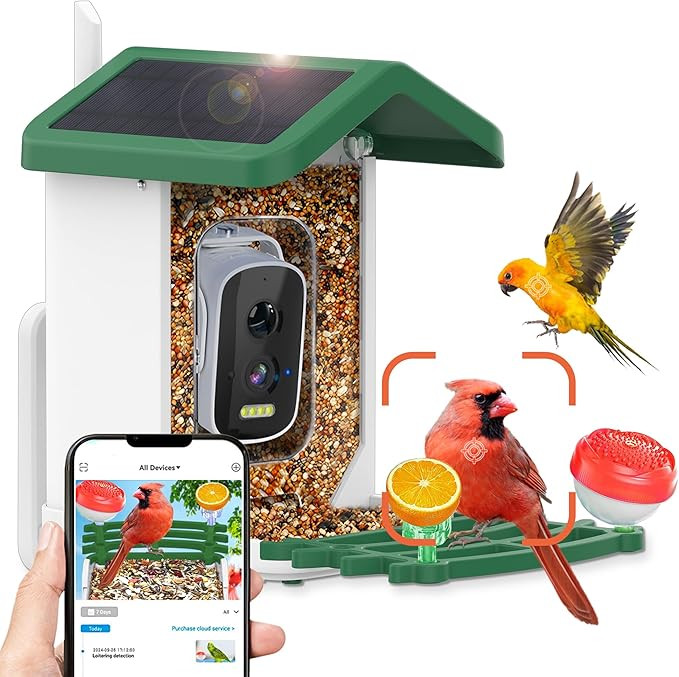 Bird Feeder with Camera,Smart AI Feeder with Solar-Powered Camera – Auto Identifier, Live View,... | Amazon (US)