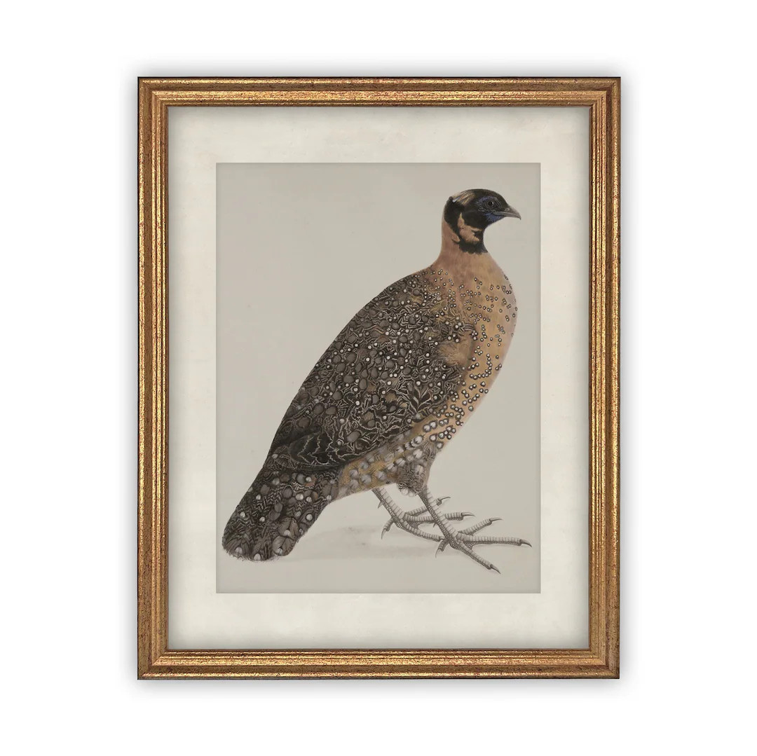 Vintage Framed Canvas Art // Framed Vintage Print // Vintage - Etsy | Etsy (US)