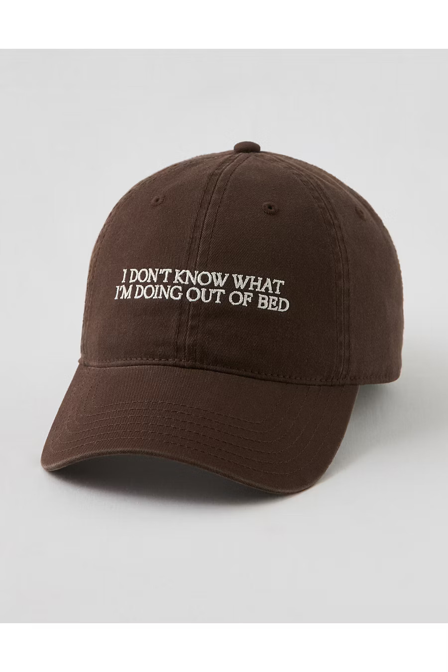 Aerie Graphic Baseball Hat Women's Deep Earth One Size | American Eagle Outfitters (US & CA)