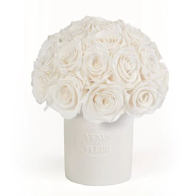 Porcelain Collection - Fleura Vase with Eternity Roses | Venus ET Fleur